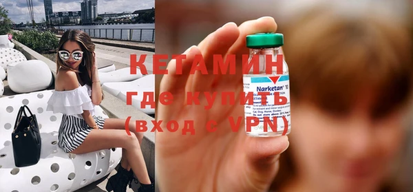 соль ск Дмитриев