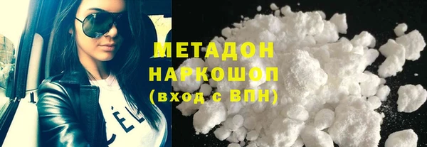 прущие грибы Дмитровск
