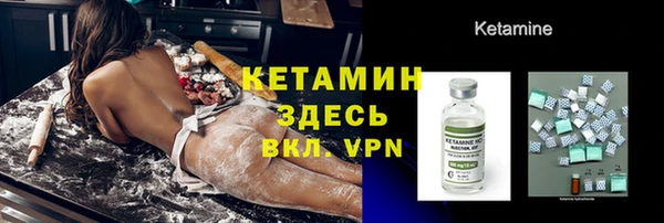 прущие грибы Дмитровск