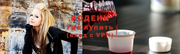 соль ск Дмитриев
