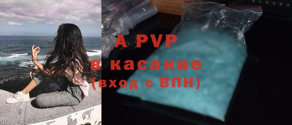соль ск Дмитриев