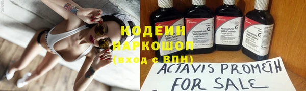 прущие грибы Дмитровск