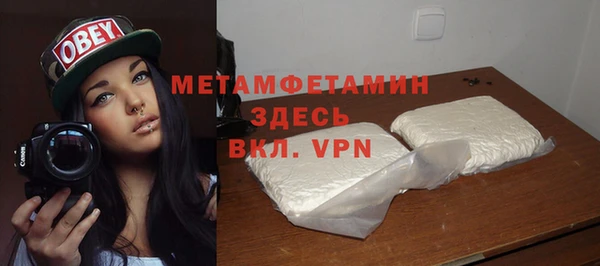 прущие грибы Дмитровск
