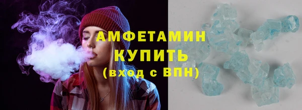 прущие грибы Дмитровск