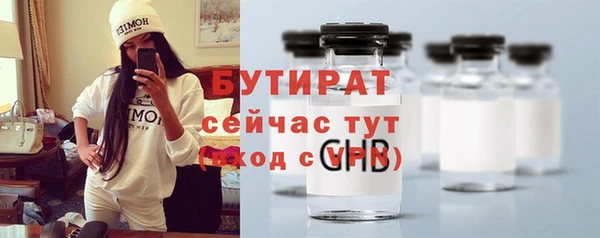 соль ск Дмитриев