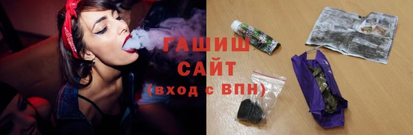 соль ск Дмитриев