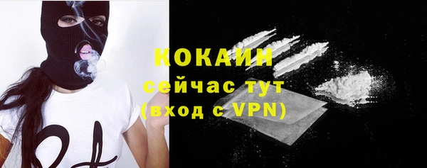 прущие грибы Дмитровск