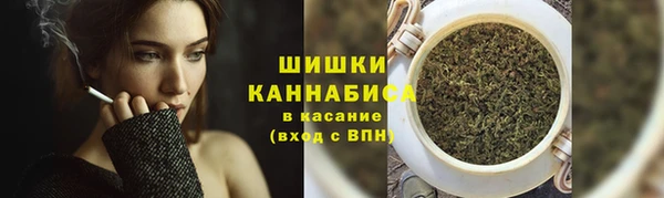 соль ск Дмитриев