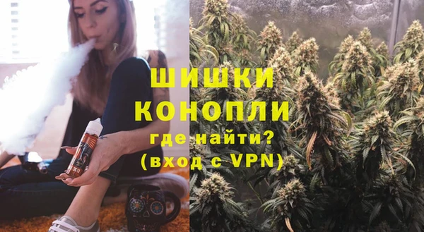 прущие грибы Дмитровск