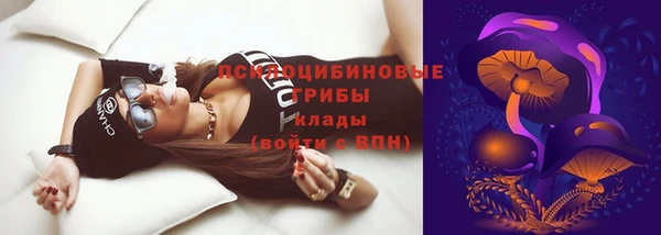 соль ск Дмитриев