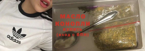 соль ск Дмитриев