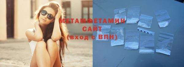 соль ск Дмитриев