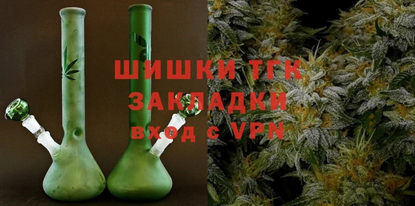 соль ск Дмитриев