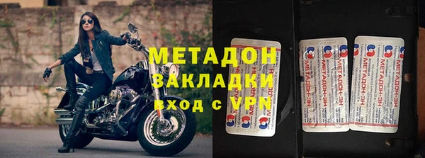 прущие грибы Дмитровск