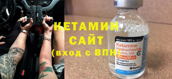 соль ск Дмитриев