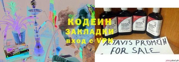прущие грибы Дмитровск